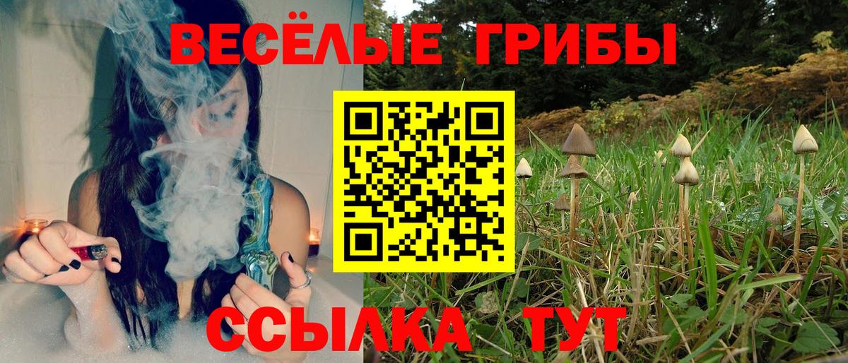 Галлюциногенные грибы Psilocybine cubensis Ирбит